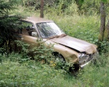 Derelict Car in a field, Sweden